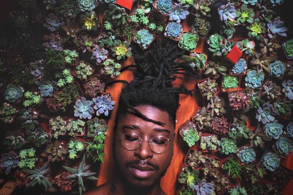 Nelson ZePequeno lays on the ground, surrounded by dozens of small, potted succulents. 