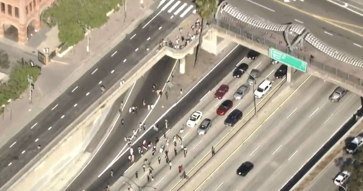 支持巴勒斯坦的抗议者关闭了洛杉矶市中心的 101 号高速公路 支持巴勒斯坦的抗议者关闭了洛杉矶市中心的 101 号高速公路