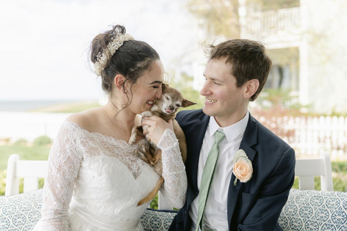 A smiling bride and groom hold a Chihuahua between them 