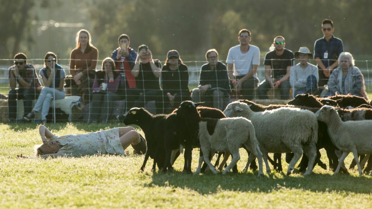 Diane Frank, left, and the sheep of Ann Carlson's "Doggie Hamlet" at Will Rogers State Historic Park in Pacific Palisades.