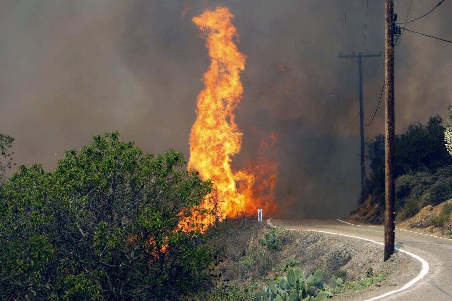 Springs wildfire rages