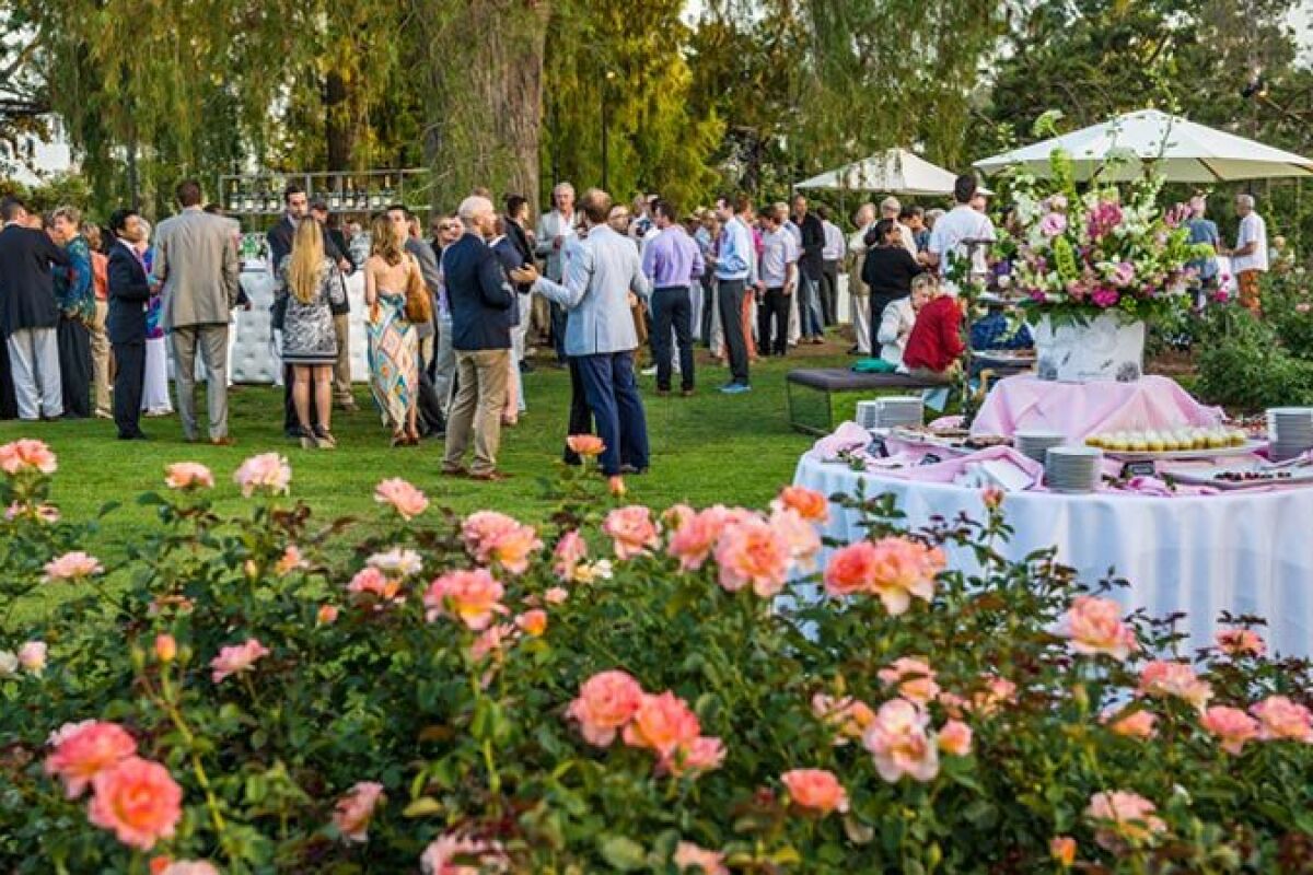 Evening Among the Roses at the Huntington Library, Art Museum and Botanical Garden.