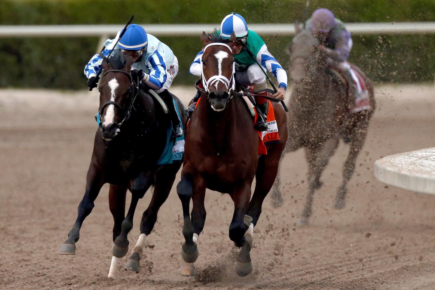 10. Upstart (pictured at left)