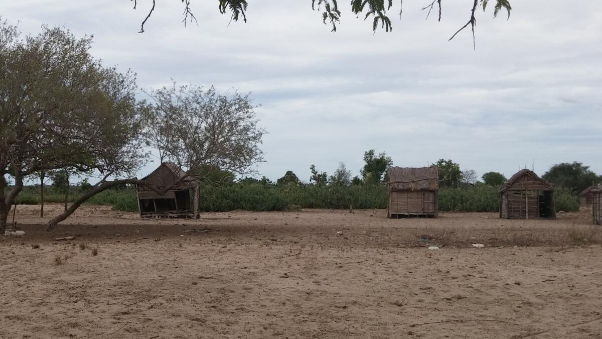 In the parched village of Kobokara, southern Madagascar, people have been surviving on sour cactus, and small children endure constant thirst, after the worst drought in 35 years.