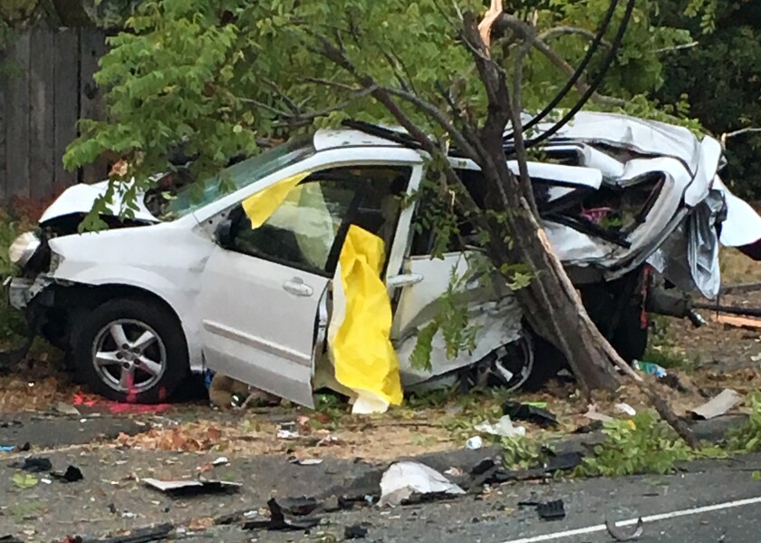 Homeless Woman And Her Dog Sleeping In Car Are Killed In Crash