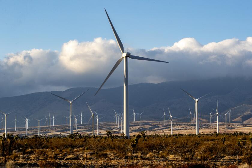 ROSAMOND, CA - FEBRUARY 16, 2021: Manzana's wind turbines stand out in the desert landscape near the Tehachapi Mountains on February 16, 2021 in Rosamond, California. Federal wildlife officials are allowing Manzana, a private wind company, to provide funding to rear critically endangered California condors to replace any killed by its turbines. Condors fly through this area at the Tehachapi Mountains as a corridor to the Sierra Nevada range.(Gina Ferazzi / Los Angeles Times)