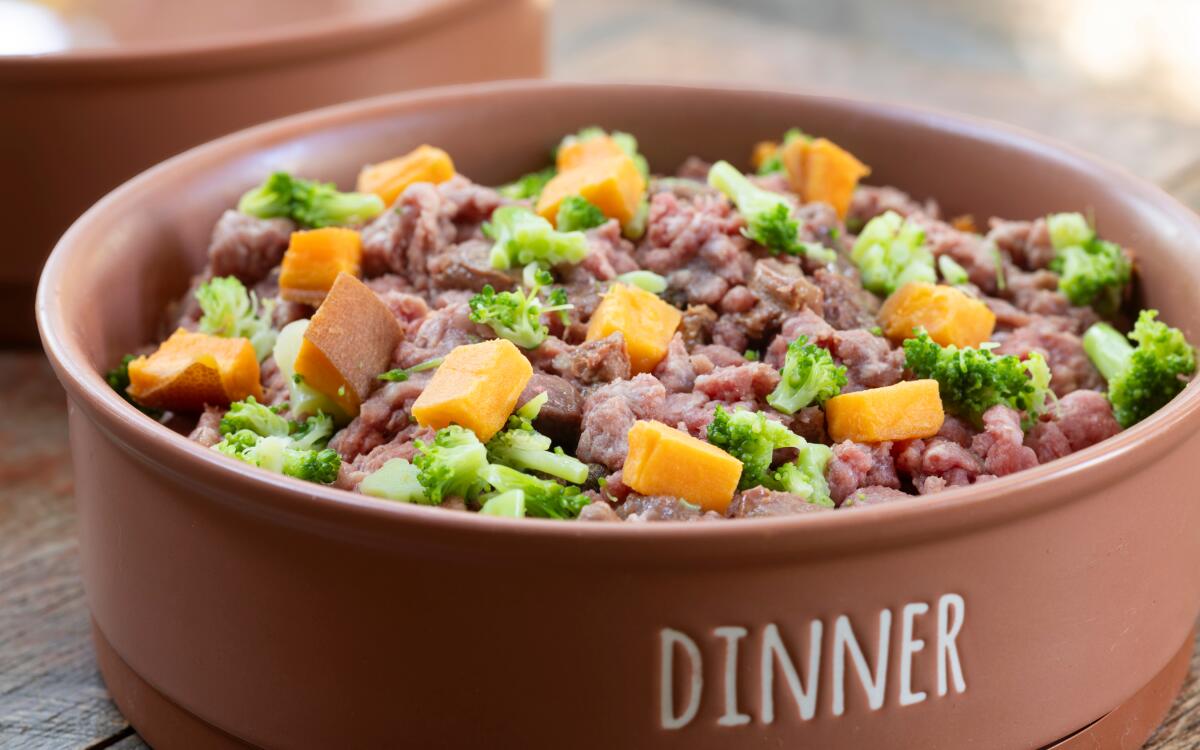 Diy Raw Food Diet for Dogs: Ultimate Guide to Health