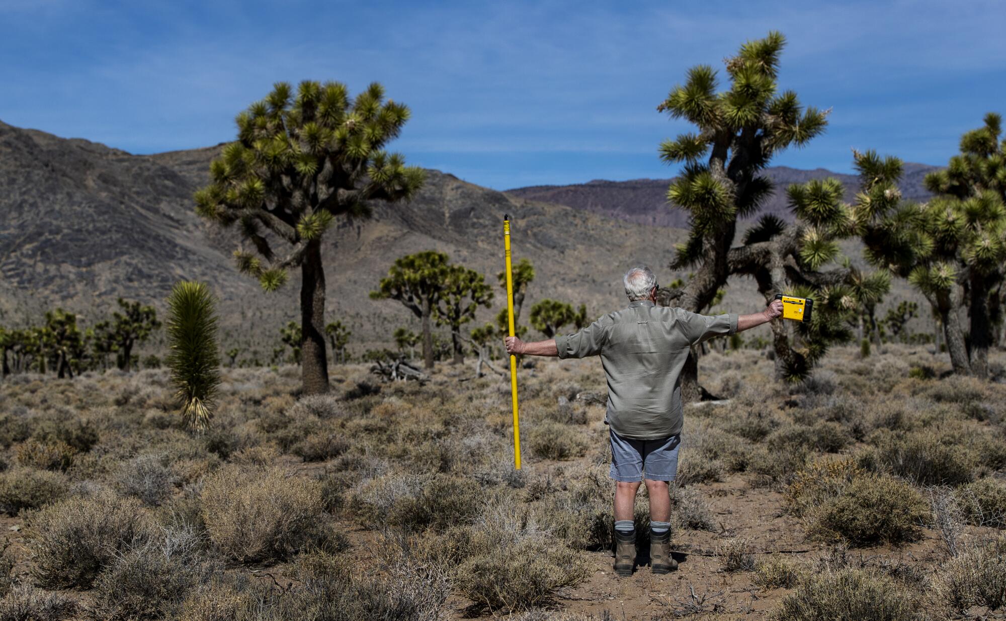 A man spreads his arms near Joshua trees.