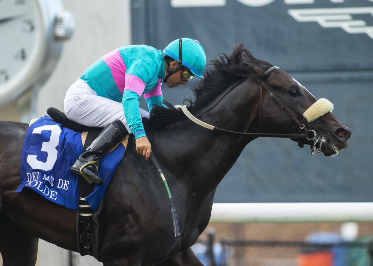 Jerome S. Moss' Nolde and jockey Victor Espinoza compete in the Grade II, Del Mar Derby at Del Mar Thoroughbred Club in Del Mar, Calif., Sunday, Sept. 1, 2019. They won the Grade II, $250,000 Del Mar Derby on Sunday. (Benoit Photo via AP)