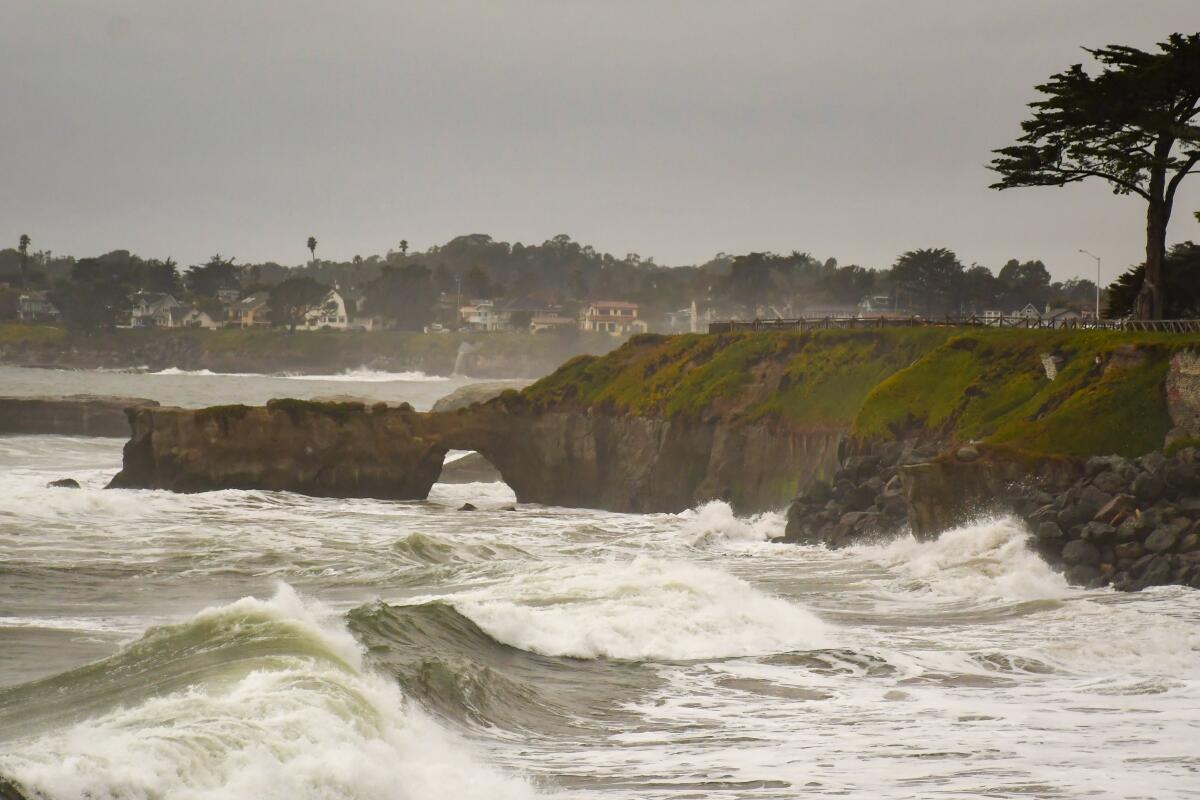 Santa Cruz coastline along West Cliff Drive.