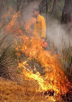 Deadly wildfires in Australia