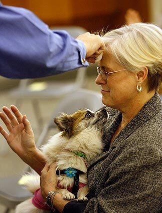 Parishioner Donna Miller gets baptized while cuddling her dog Kimmy at Covenant Presbyterian Church in Westchester.