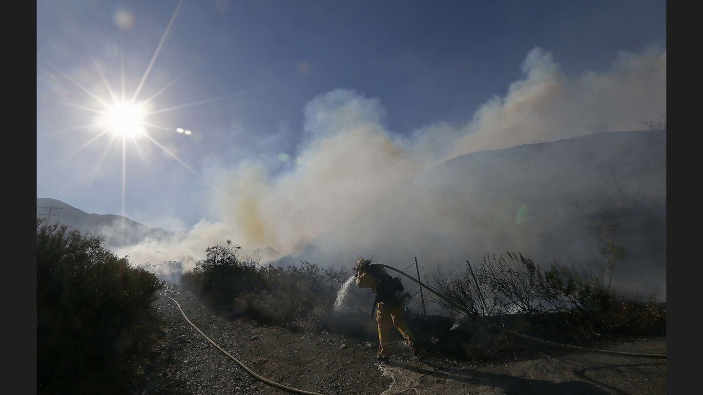 A firefighter battles the Blue Cut fire in thick brush along Lytle Creek Road.