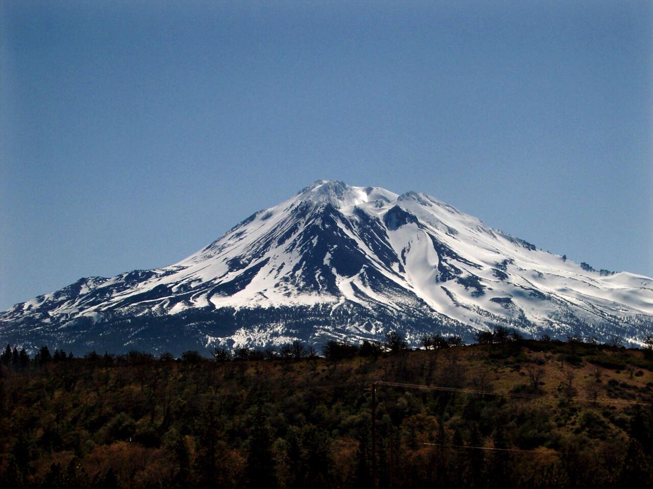 Shasta