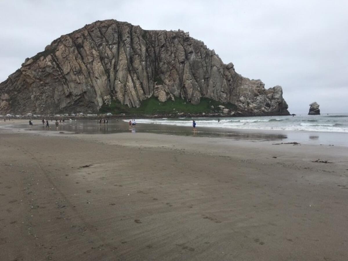 The beach parallels the Embarcadero -- and offers good views of Morro Rock -- in Morro Bay.