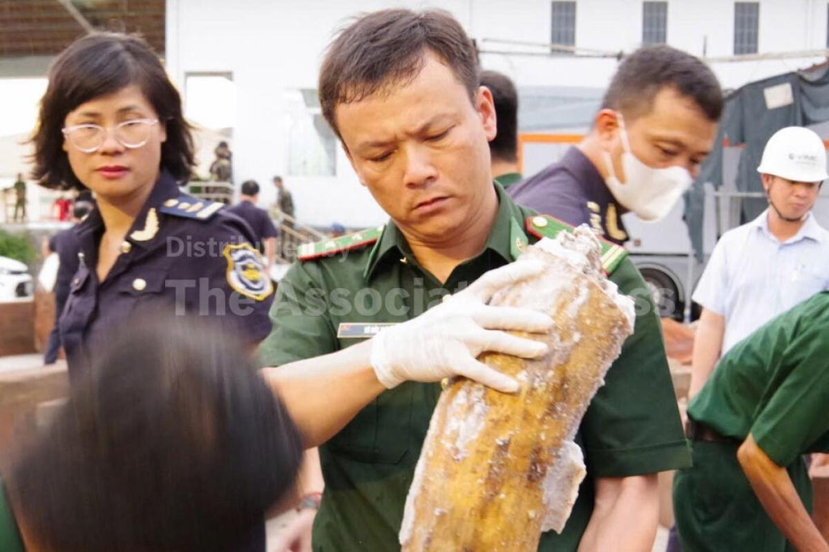 A policeman holds up a tusk