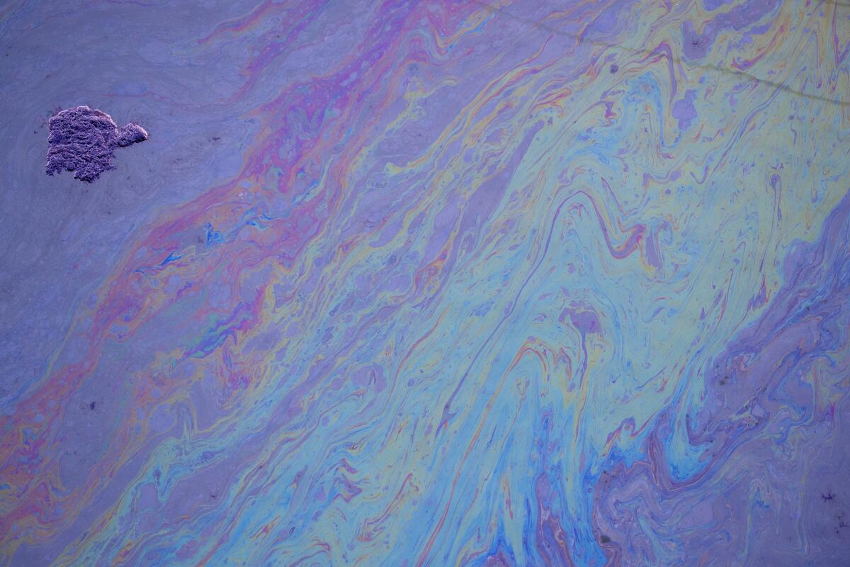 A dark splotch, seen at top left, amid an iridescent swirl from an oil spill. 