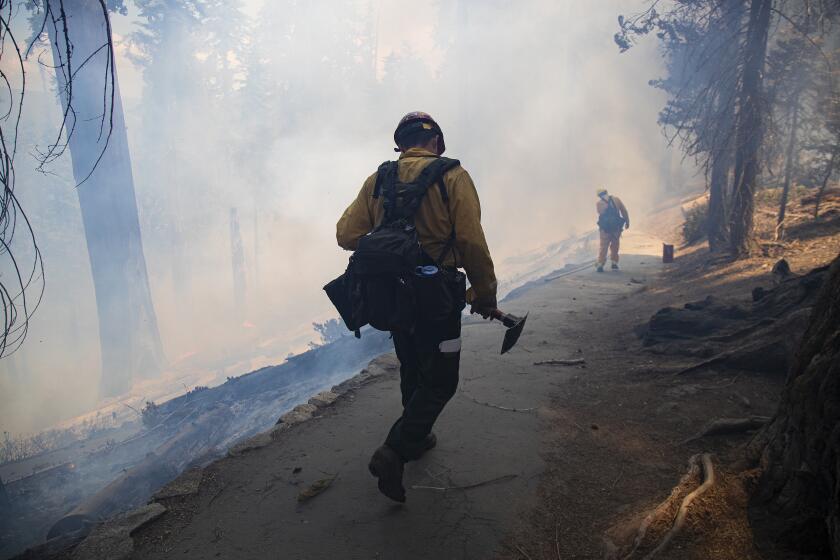 SEQUOIA NATIONAL PARK, CA - JULY 8, 2019: A wildland firefighter carries his gear through thick smoke during a prescribed burn to get rid of dead non-sequoia trees and fallen brush in the Giant Sequoia Forest near General Sherman on July 8, 2019 in Sequoia National Park, California.(Gina Ferazzi/Los AngelesTimes)