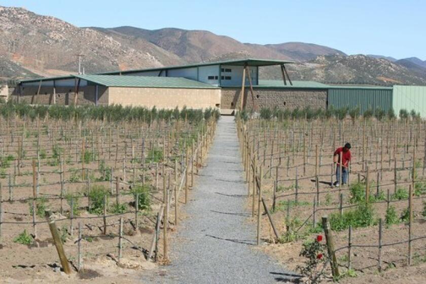 By Barbara Thornburg Paralelo winery in Baja's Valle de Guadalupe is architect Alejandro DAcostas latest wine project. RELATED Alejandro DAcosta and Claudia Turrent, Part I: home D'Acosta and Turrent, Part II: La Escuelita