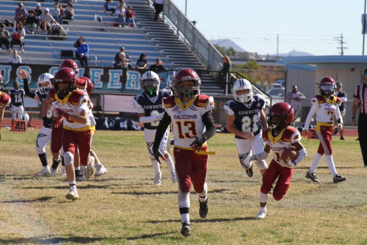 TPHS - Falcons Football