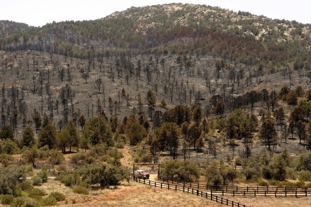 A charred hillside left by the still-burning fire that killed 19 firefighters in Arizona.