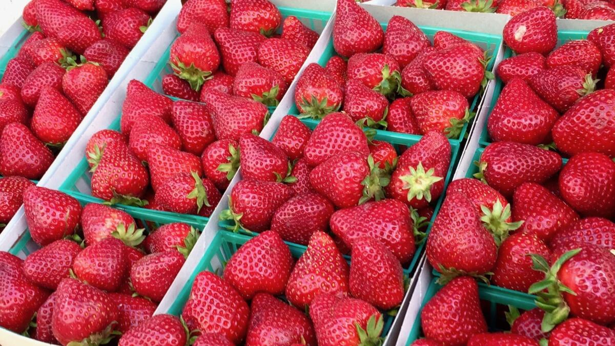 Packs of Seascape strawberries from Harry's Berries at the Santa Monica Farmers Market on March 15.