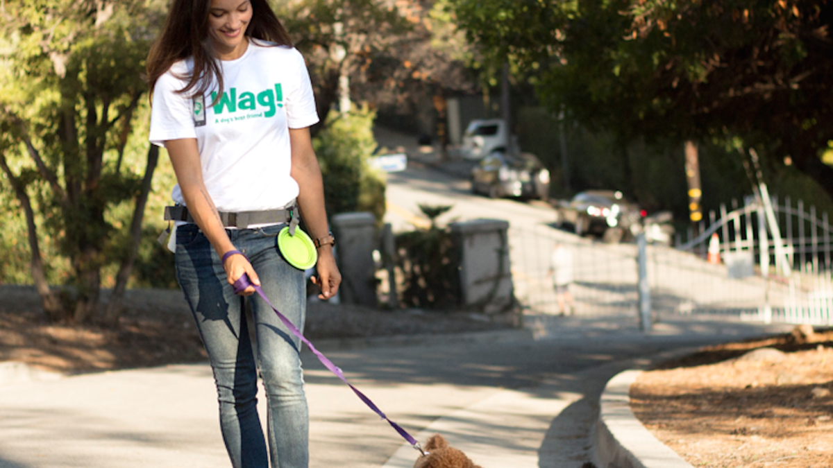 how much do wag dog walkers make