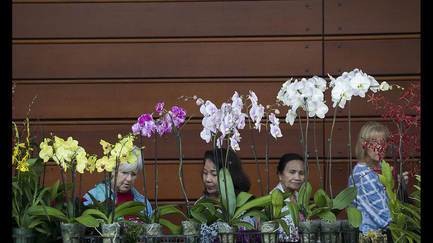 Photo Gallery: The 28th Southern California Spring Garden Show.