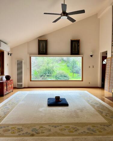 A largely empty room with a large carpet, a picture window, speakers and a ceiling fan