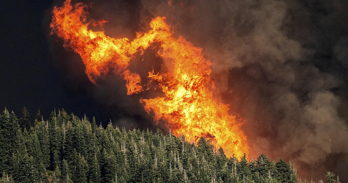 Opinion: I’m a pediatrician in Reno. I know climate change puts children at risk