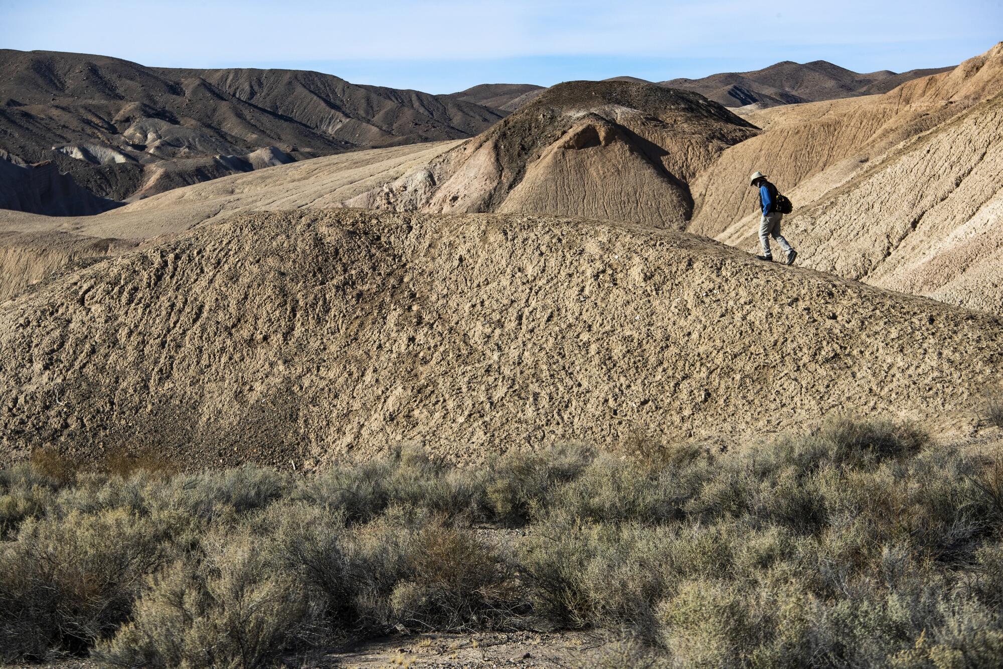 Amargosa River Trail