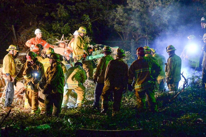 Los Angeles County firefighters work on a large eucalyptus tree that fell on a wedding party Saturday in Whittier.