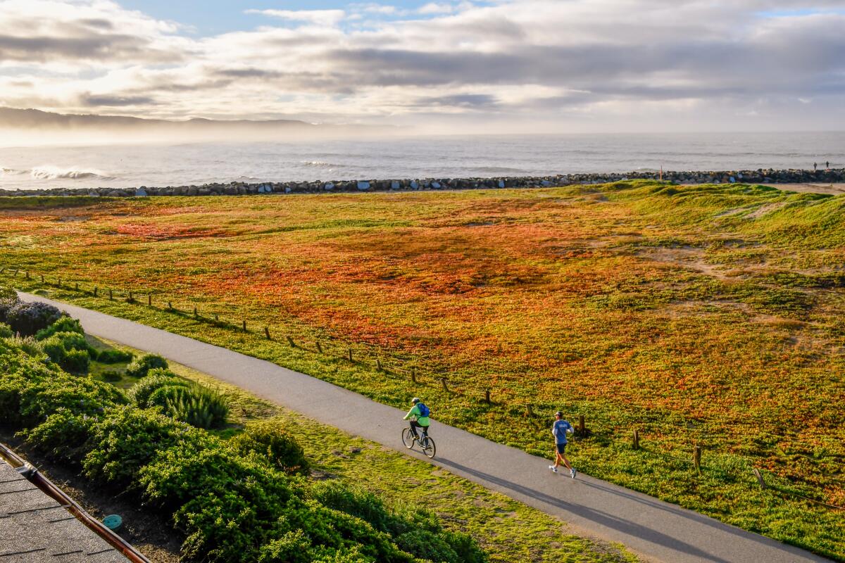 A bicyclist on a coastal trail near a bay.