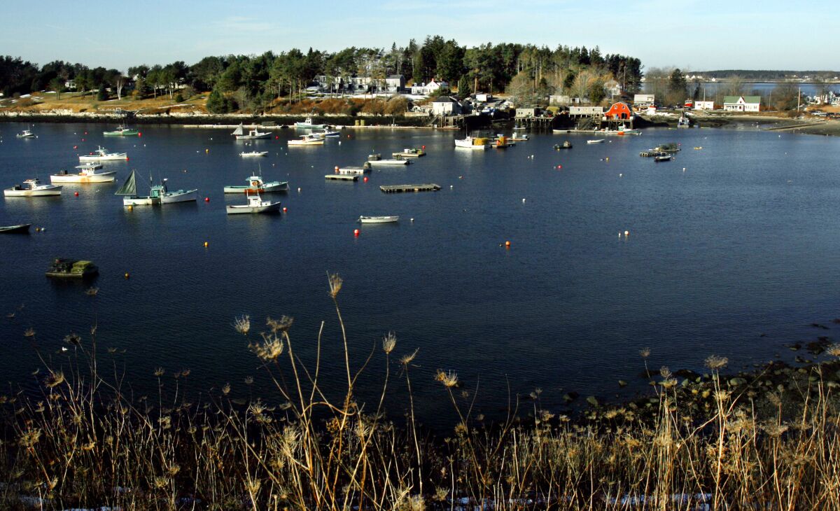 Lobster boats are seen tied to their moorings from a distance at Bailey Island, Maine. 