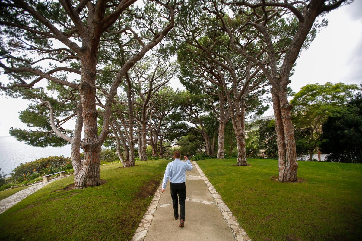 A man walking away from the camera along a path dotted with trees.