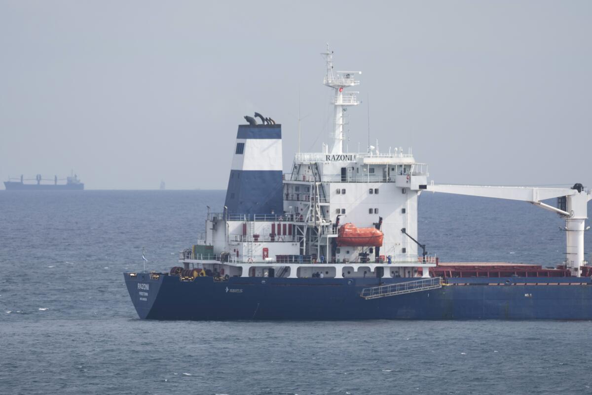 Cargo ship carrying Ukrainian grain