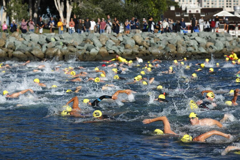 Almost 200 swimmers start the 12th Annual San Diego Sharkfest Swim.