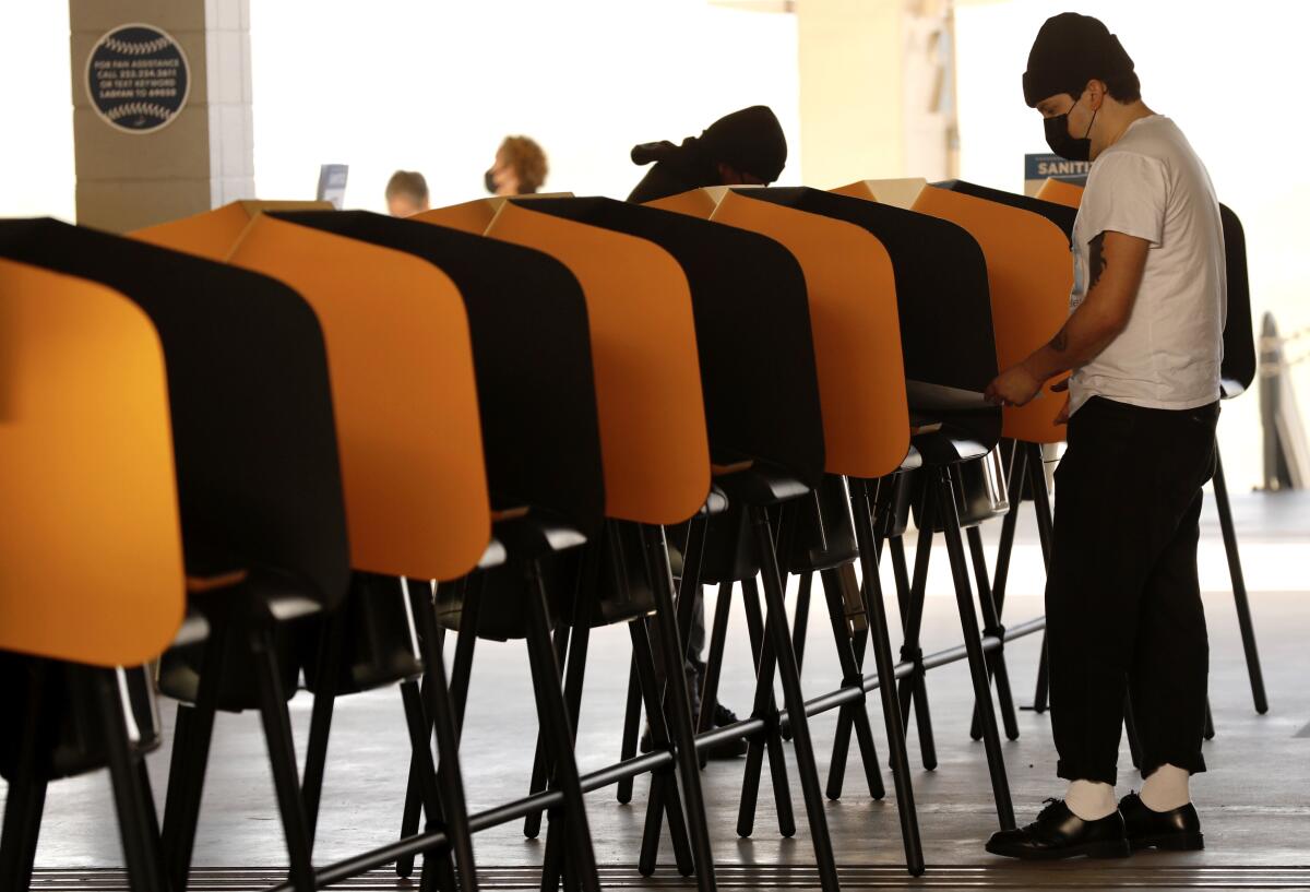 A voter voting at a line of polling booths 