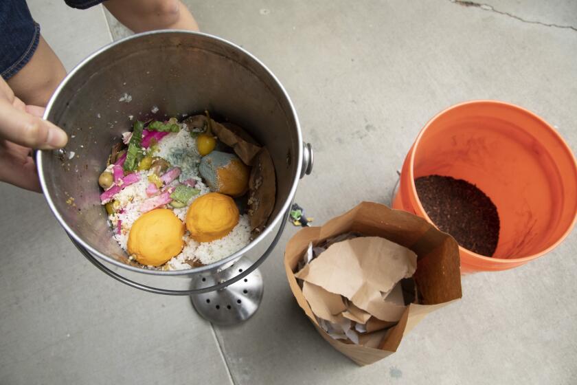 STUDIO CITY, CA - MARCH 15: Teresa Leong takes her food and paper waste to Cottonwood Urban Farm in Panorama City for composting. Some of it is brought back in a bucket, right, which she uses to grow several native plants on a weed-covered strip of land near the Los Angeles River in Studio City. She feels that the compost helps rejuvenate the dirt. Photographed on Tuesday, March 15, 2022. (Myung J. Chun / Los Angeles Times)