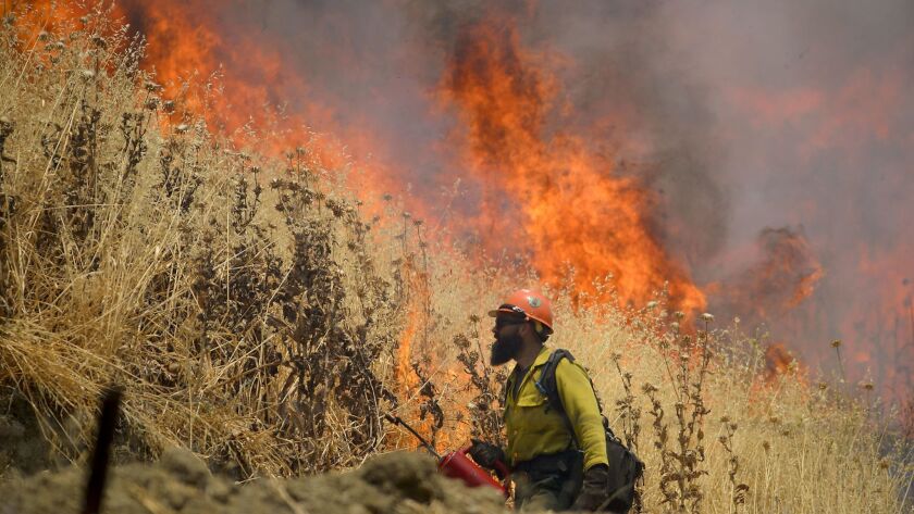 A firefighter from Mendocino starts a backfire to help contain the County fire along Highway 128 in Yolo County.