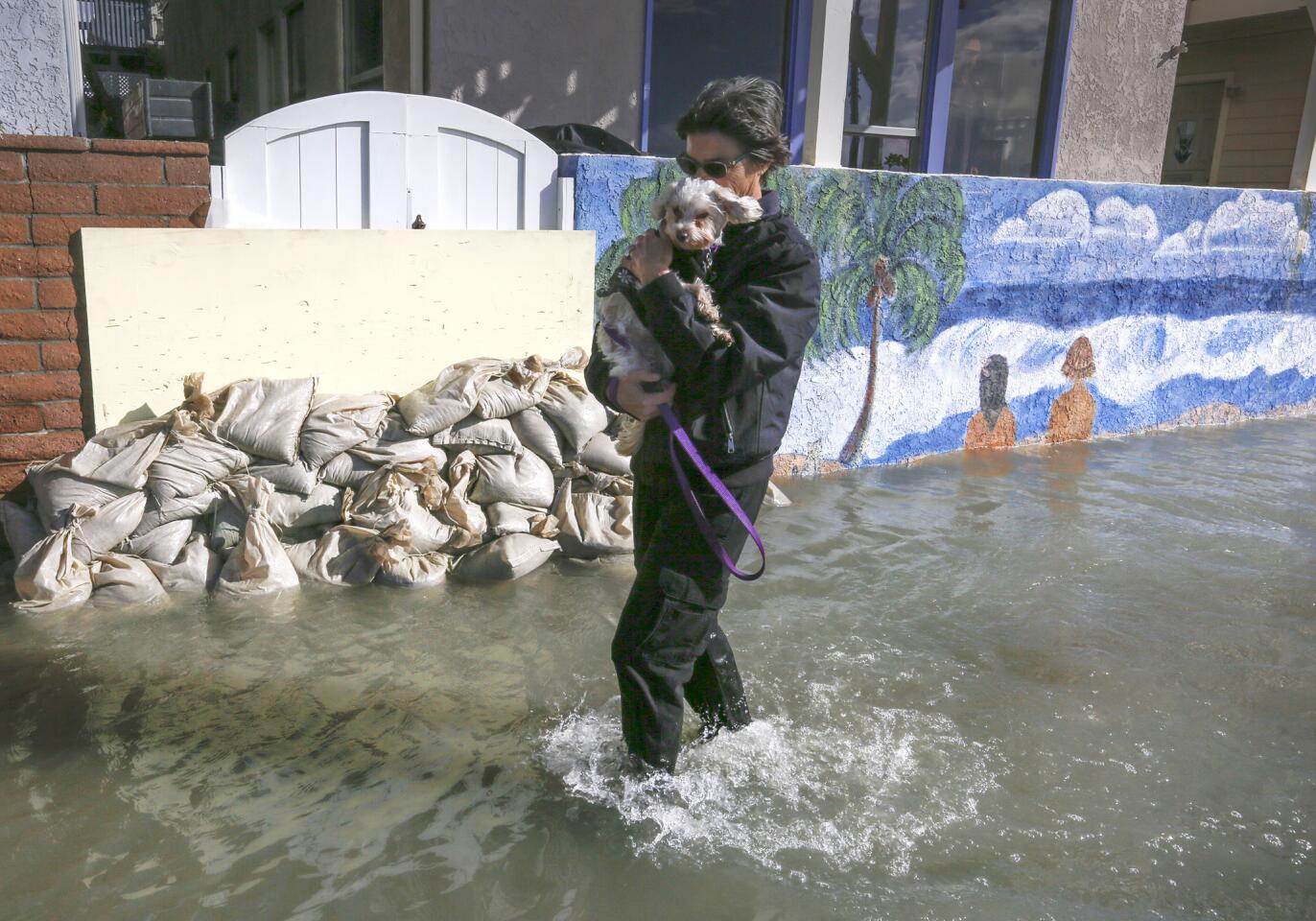 Westminster resident Shirley Hansen carries her dog Scruffy as she walks through the flood water on the Seal Beach boardwalk on Monday.