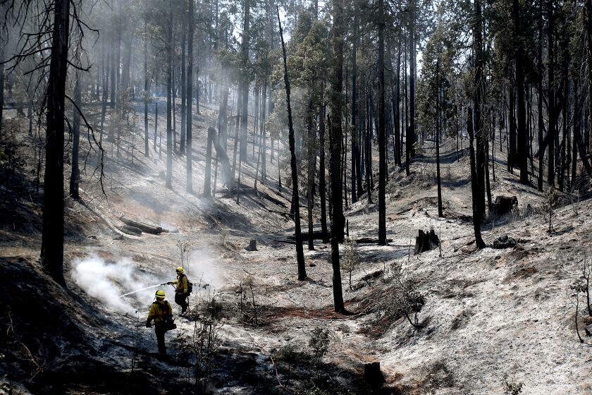 MARIPOSA, CALIF. - JULY 27, 2022. Firefighters put out hotspots in a moonscape created by the Oak fire near Mariposa on Wednesday, July 27, 2022. (Luis Sinco / Los Angeles Times)