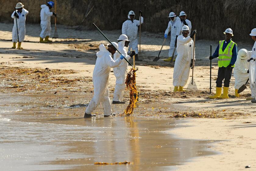 White-suited workers clean up oil from Refugio State Beach, five days after a pipeline rupture sent thousands of gallons of crude into the ocean.