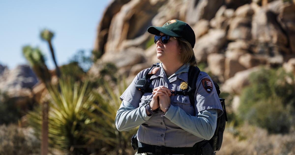 Joshua Tree Nationwide Park workforce works to forestall calamity