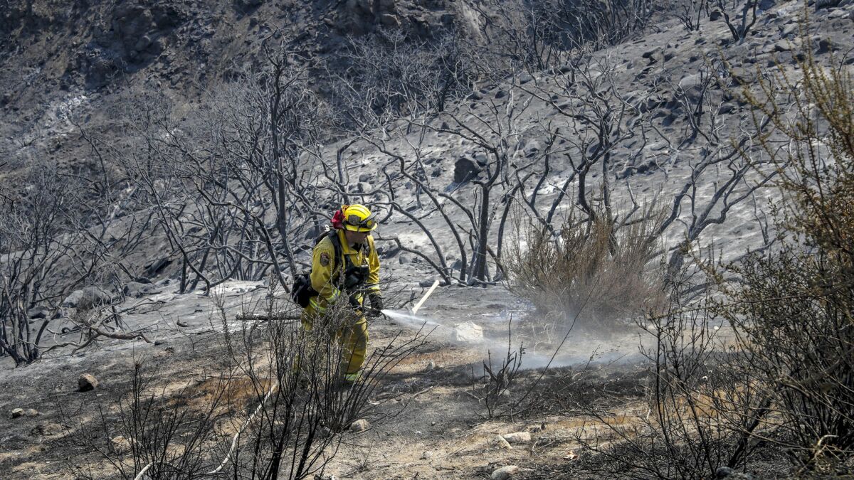 Firefighter John Ruskovich takes care of a few hot spots left over from the Holy fire in the McVicker Canyon neighborhood of Lake Elsinore in mid-August.