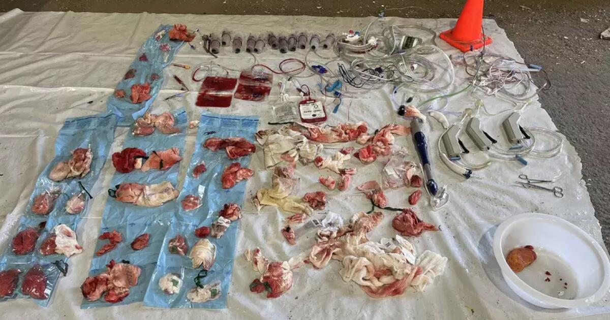 Santa Clara County hospitals accused of illegally dumping fentanyl, data Santa Clara County hospitals accused of illegally dumping fentanyl, data