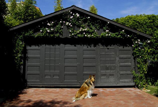 Becker painted the garage a dark color to hide its cracks, then planted more Cecile Brunner roses. Child actor Arleigh Adams, an early owner of the property, added the garage and used dressing room doors from inside the building to fashion the garage door.
