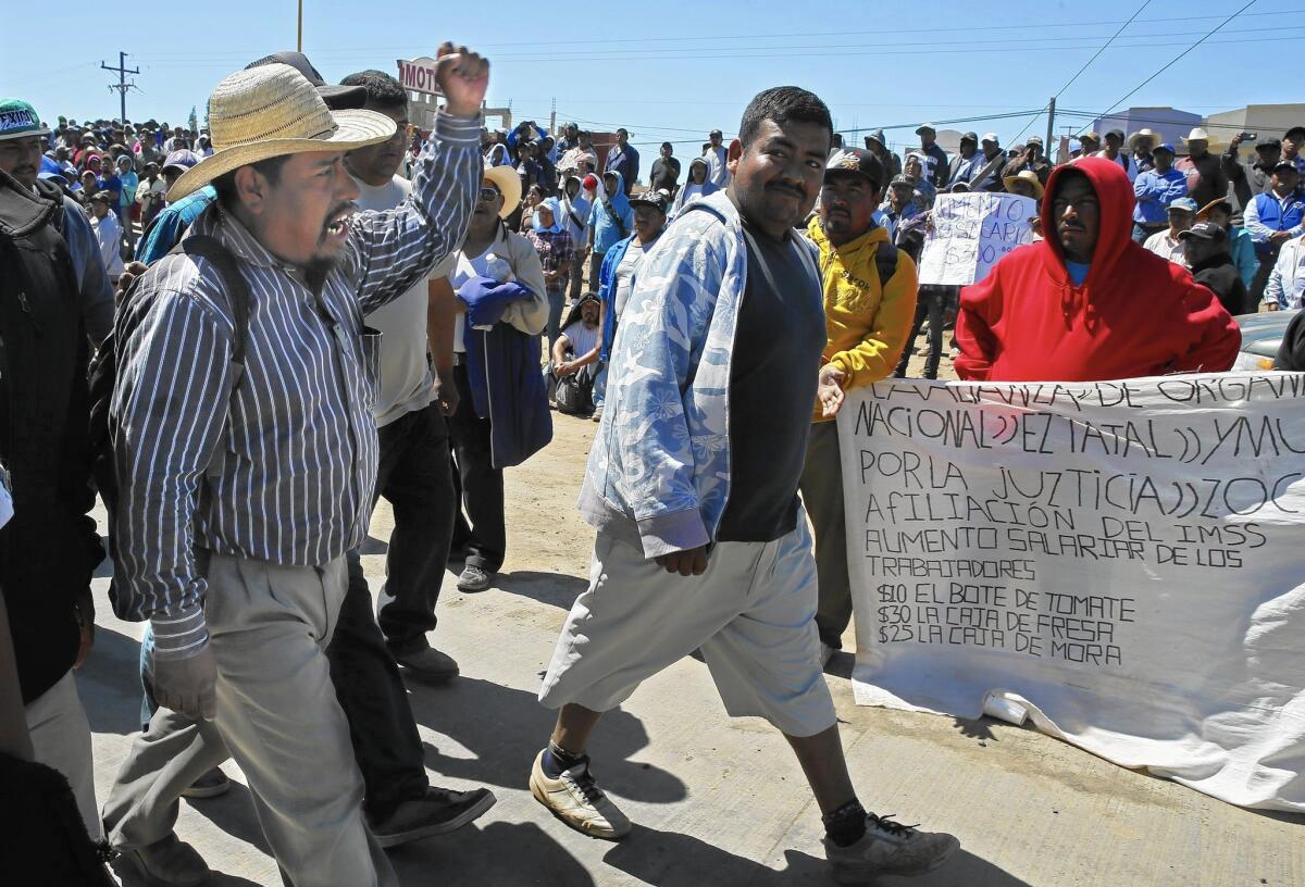 Fidel Sanchez, once a labor activist in the U.S., leads a march of striking farmworkers in San Quintin, Baja, Mexico.