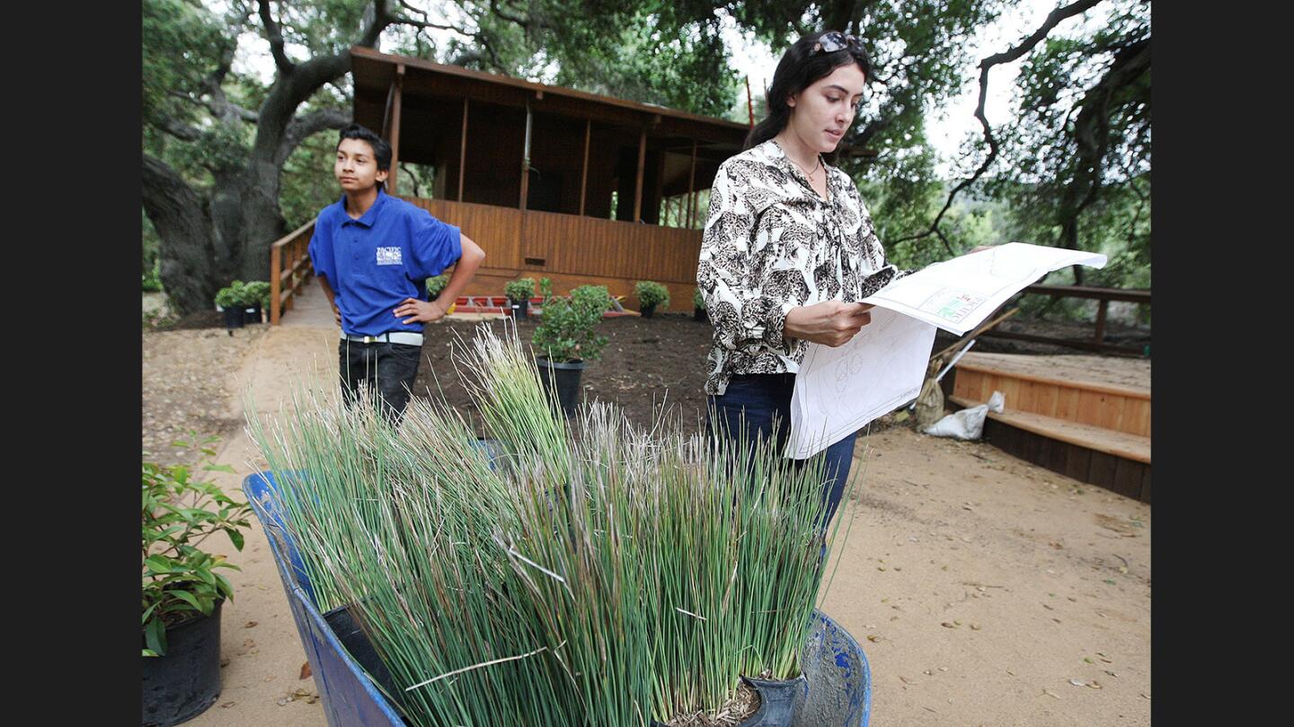 Descanso Gardens landscape designer Melanie Buffa looks over a plan for the placement of plants at the renewed Lakeside Lookout at Descanso Gardens in La Canada Flintridge on Friday, September 15, 2017. Formerly the Bird Observation Station, the area has been revitalized by reformatting the space to make it more pleasing for animals, birds, and people.