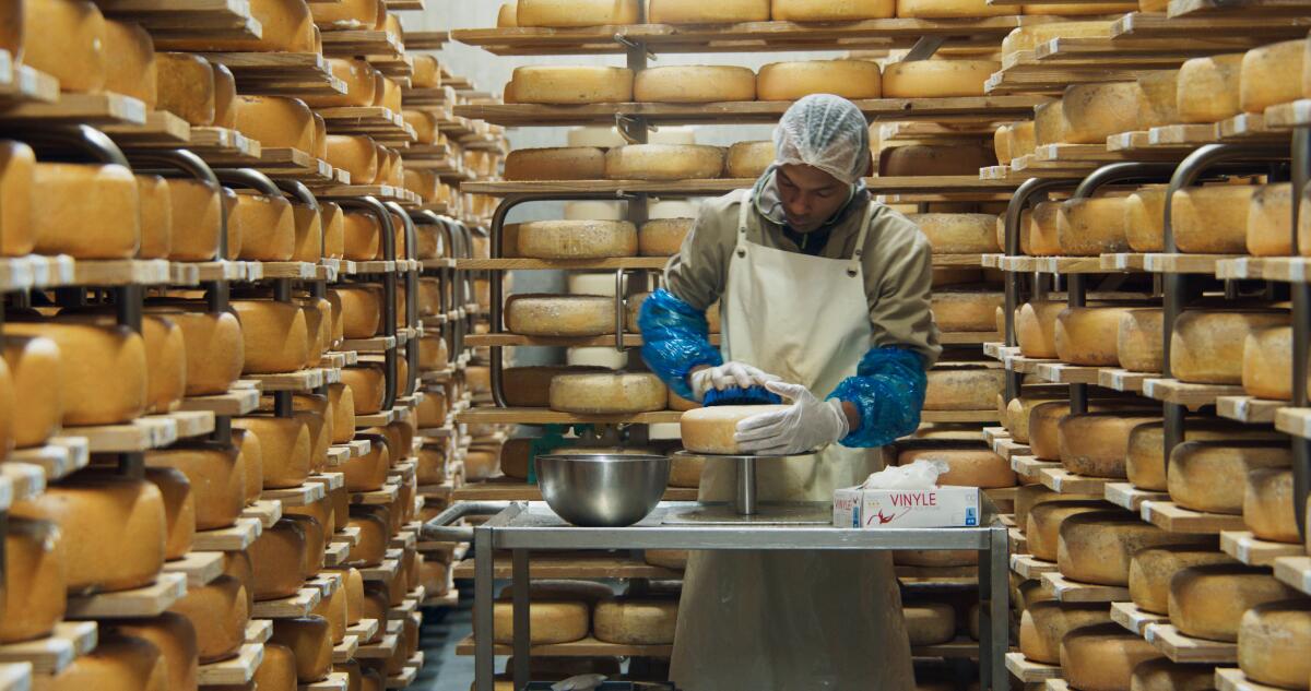 A man works in a cheese cave.